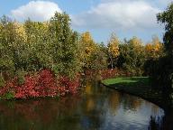 Herbststimmung in der Rheinaue bei Bonn