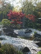 Herbstlicher Japanischer Garten in der Rheinaue bei Bonn